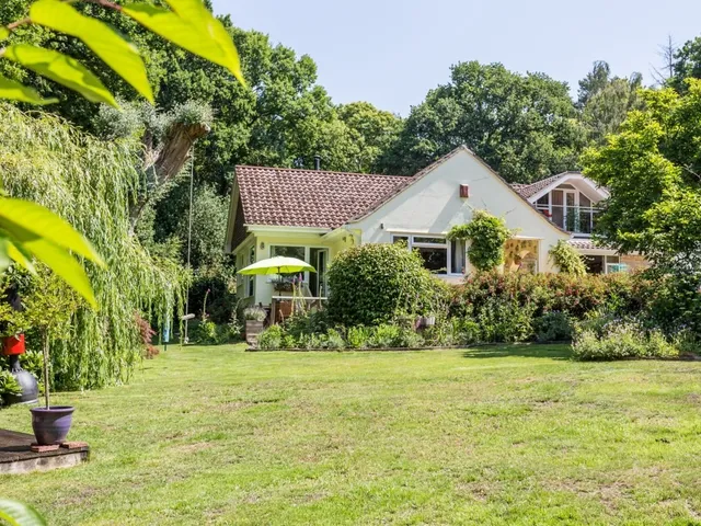 Treeside in Woodgreen: Woodland Accommodation with Direct Forest Access