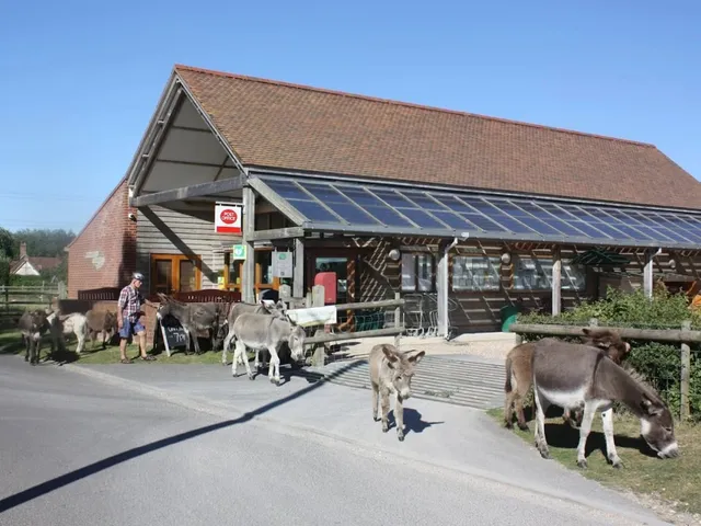 Woodgreen Community Shop & Post Office