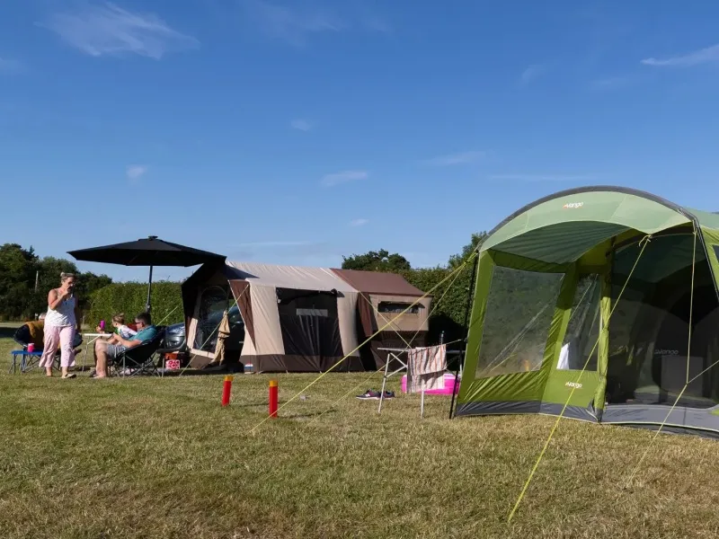 Tents pitched among trees at Hill Cottage Farm Caravan & Camping Park near Fordingbridge