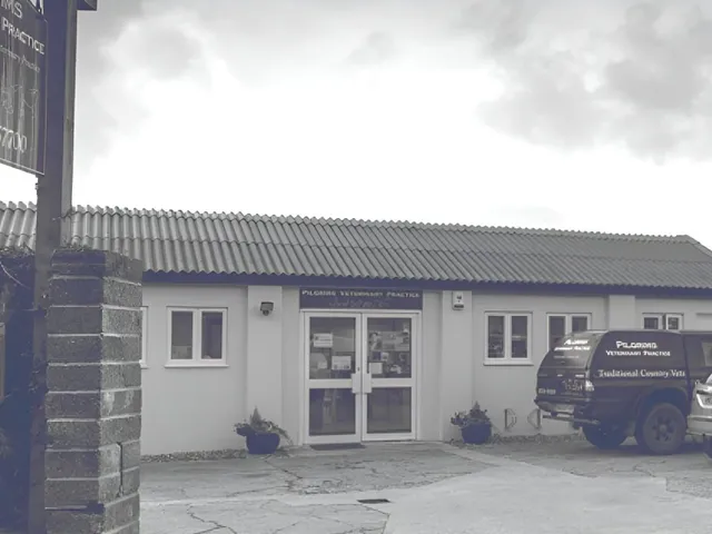 Pilgrims Veterinary Practice