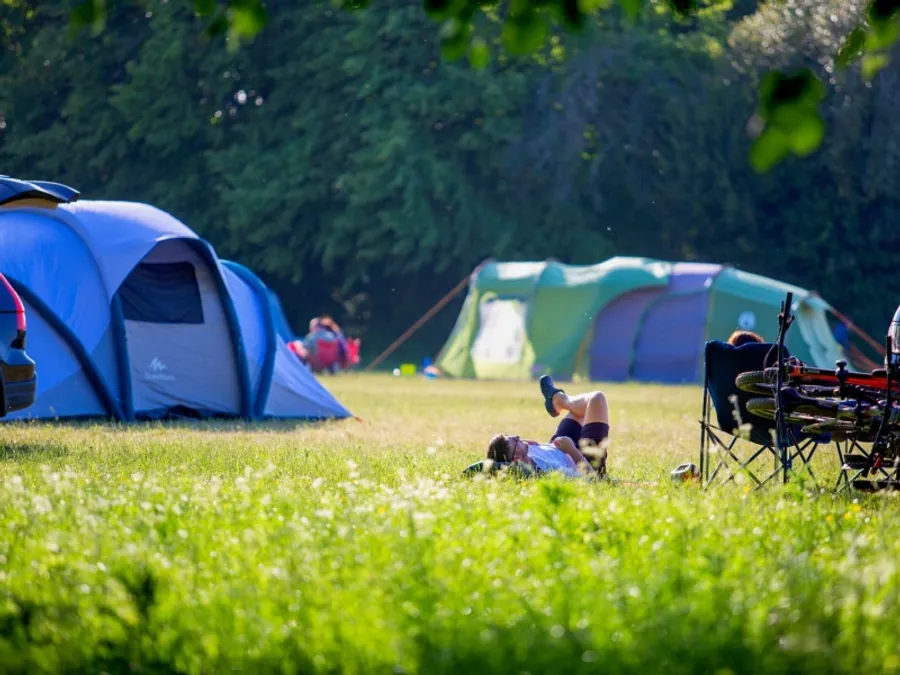 Open parkland and trees at Harry’s Meadow Campsite
