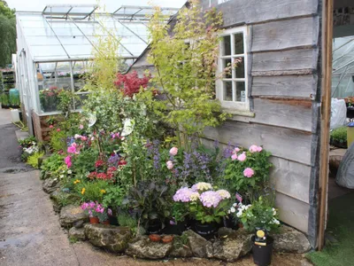 Shed with plants outside