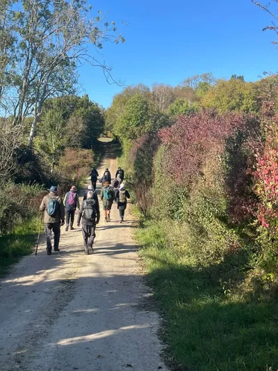 A walk along a track